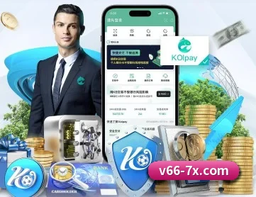 V66体育 APP